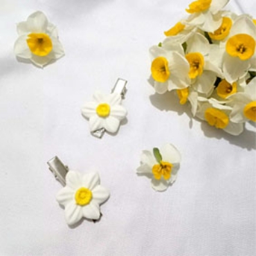تصویر برای دسته  گل نرگس